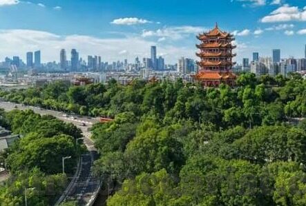 比分直播188 足球-比分直播188，足球世界的实时脉搏与激情共振