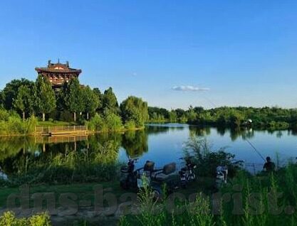 足球001比分-足球001比分，绿茵场上的数字密码与竞技激情