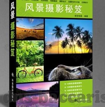 足球比分球探网-深度解析，足球比分球探网——球迷的智慧导航与数据宝库